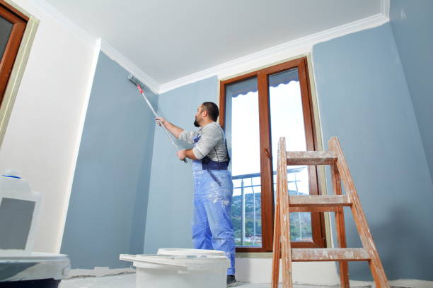 Best Drywall Removal and Disposal  in Zionsville, IN