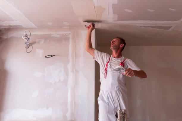 Best Drywall Texturing  in Zionsville, IN