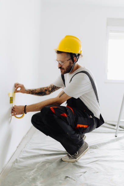 Best Drywall Sanding and Smoothing  in Zionsville, IN